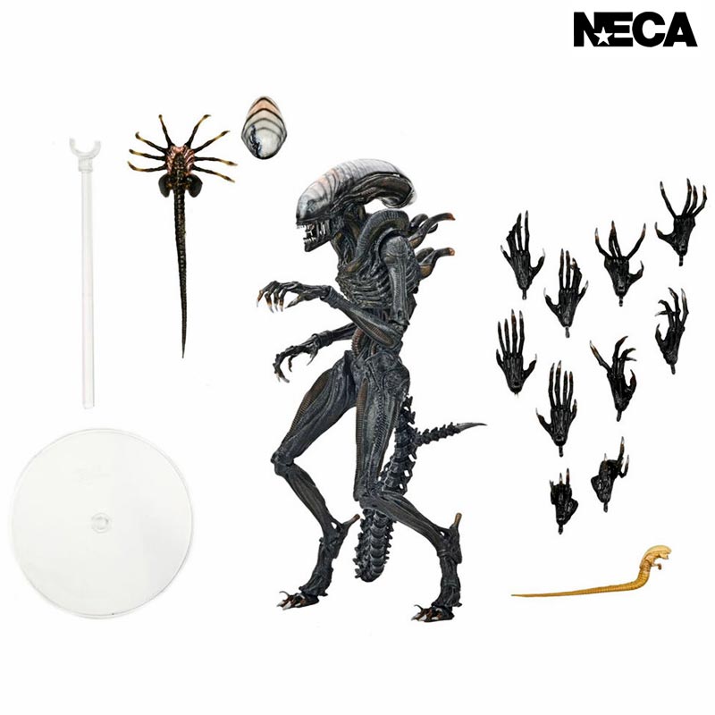 Figura Ultimate Scorched Xenomorph Alien Romulus Neca 02