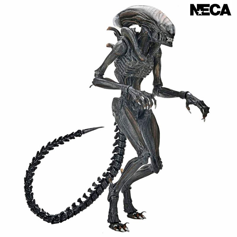 Figura Ultimate Scorched Xenomorph Alien Romulus Neca 03